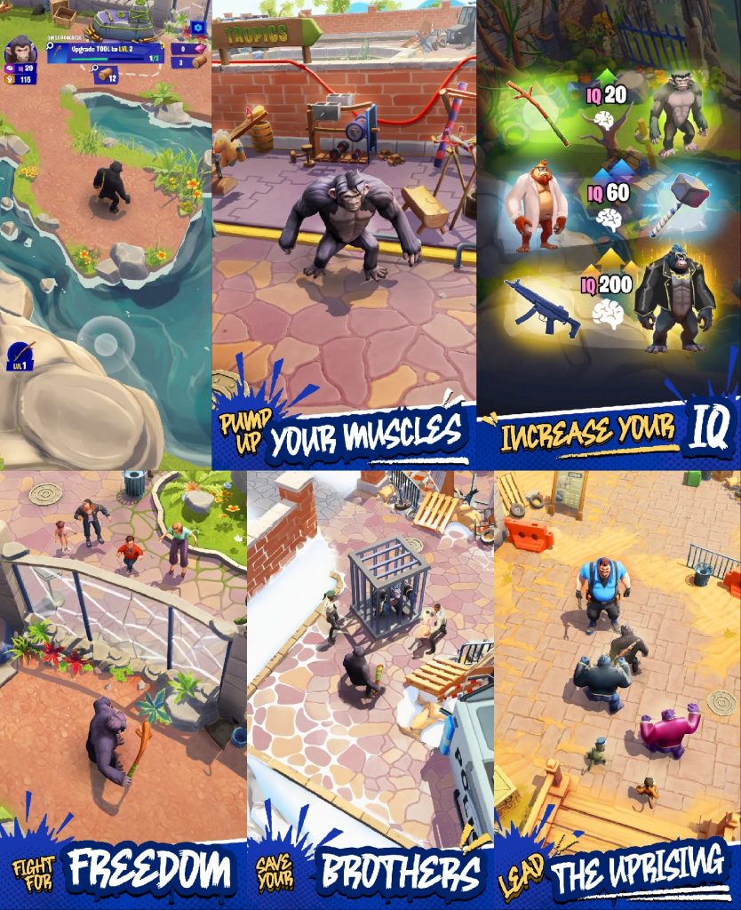 Collage_20260304_020100